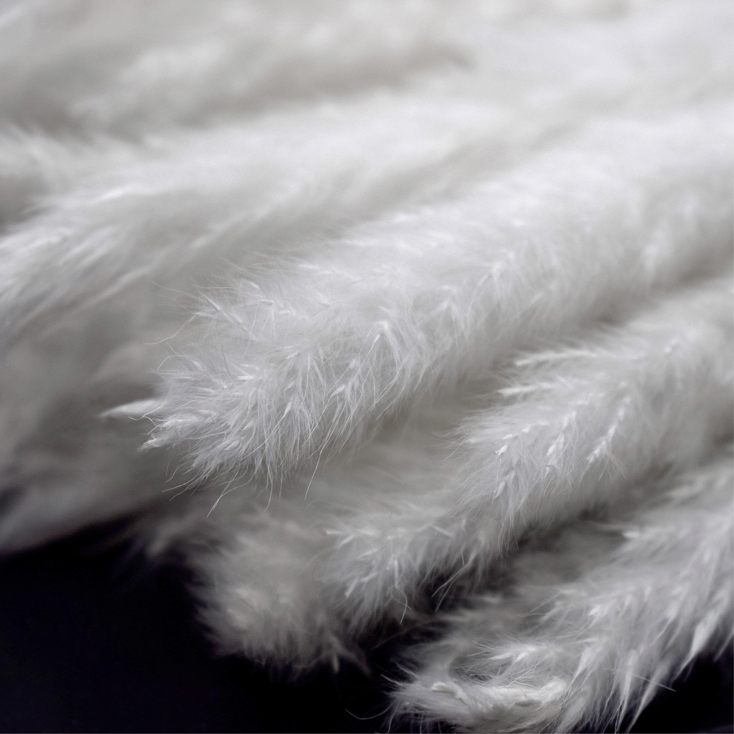 Pampasgras Natur – Getrocknetes Ziergras für Vase & Dekoration, Boho Wohnaccessoire